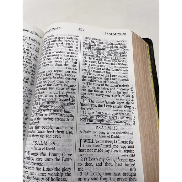 Holy Bible 1976 Giant Print King James Version Red Letter Reference Concordance - Picture 16 of 16